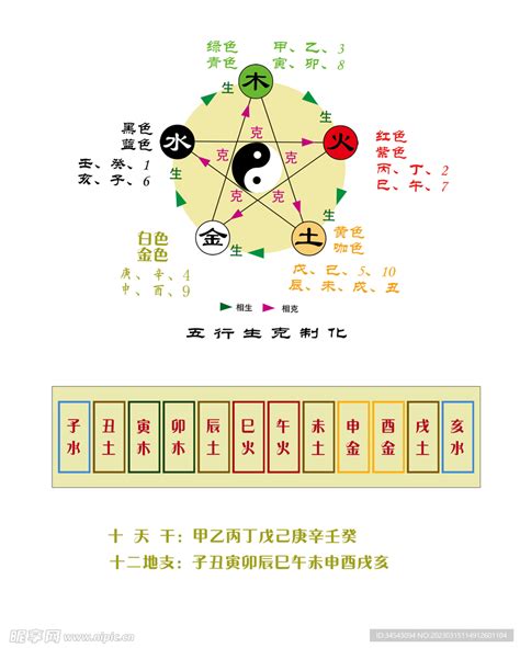 五行身體部位|天干地支五行身体部位及器官之对应